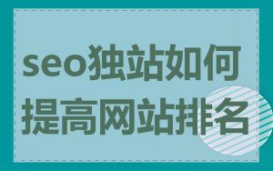 seo独站如何提高网站排名