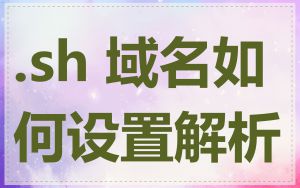 .sh 域名如何设置解析