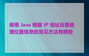 使用 Java 根据 IP 地址反查地理位置信息的常见方法有哪些