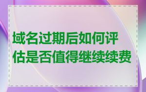 域名过期后如何评估是否值得继续续费