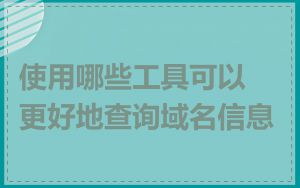 使用哪些工具可以更好地查询域名信息
