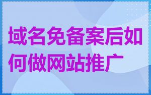 域名免备案后如何做网站推广