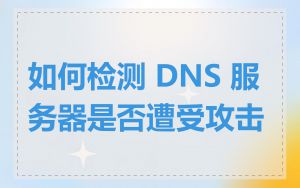 如何检测 DNS 服务器是否遭受攻击