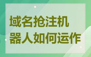 域名抢注机器人如何运作
