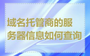 域名托管商的服务器信息如何查询