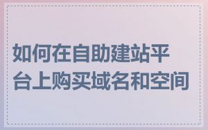 如何在自助建站平台上购买域名和空间