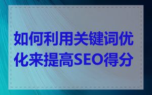 如何利用关键词优化来提高SEO得分