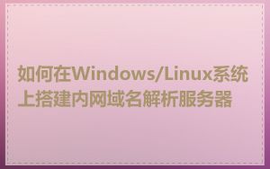 如何在Windows/Linux系统上搭建内网域名解析服务器