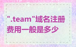 ".team"域名注册费用一般是多少
