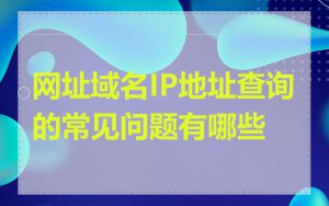网址域名IP地址查询的常见问题有哪些