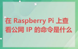 在 Raspberry Pi 上查看公网 IP 的命令是什么