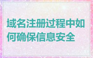 域名注册过程中如何确保信息安全