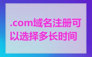 .com域名注册可以选择多长时间