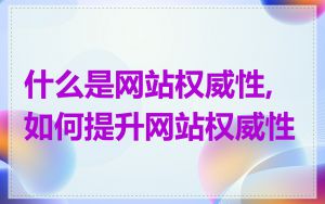 什么是网站权威性,如何提升网站权威性