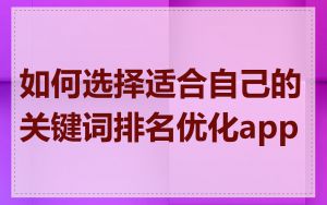 如何选择适合自己的关键词排名优化app