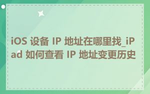 iOS 设备 IP 地址在哪里找_iPad 如何查看 IP 地址变更历史