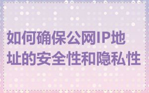 如何确保公网IP地址的安全性和隐私性