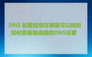 DNS 配置信息在哪里可以找到_如何查看路由器的DNS设置