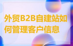外贸B2B自建站如何管理客户信息