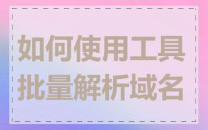 如何使用工具批量解析域名