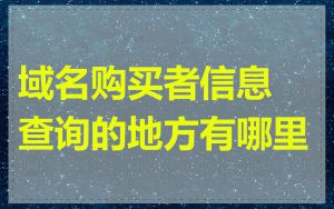 域名购买者信息查询的地方有哪里