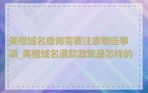 美橙域名查询需要注意哪些事项_美橙域名退款政策是怎样的