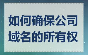 如何确保公司域名的所有权