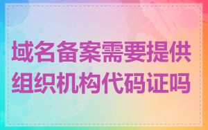 域名备案需要提供组织机构代码证吗