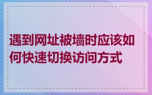 遇到网址被墙时应该如何快速切换访问方式