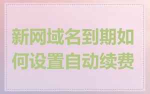 新网域名到期如何设置自动续费
