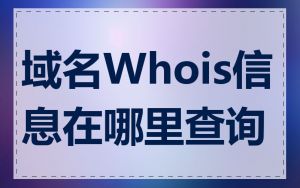 域名Whois信息在哪里查询