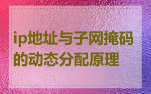 ip地址与子网掩码的动态分配原理