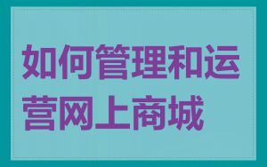 如何管理和运营网上商城