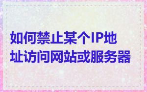 如何禁止某个IP地址访问网站或服务器