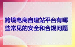 跨境电商自建站平台有哪些常见的安全和合规问题
