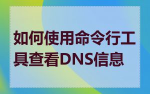 如何使用命令行工具查看DNS信息