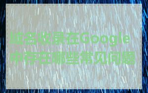 域名收录在Google中存在哪些常见问题
