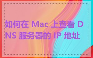 如何在 Mac 上查看 DNS 服务器的 IP 地址