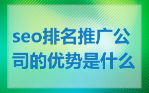 seo排名推广公司的优势是什么
