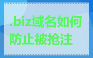 .biz域名如何防止被抢注