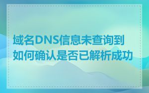 域名DNS信息未查询到如何确认是否已解析成功