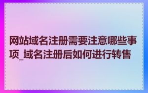 网站域名注册需要注意哪些事项_域名注册后如何进行转售