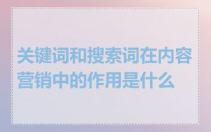 关键词和搜索词在内容营销中的作用是什么