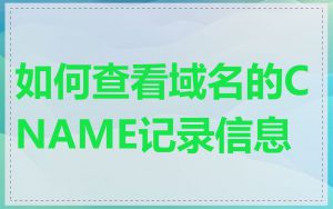 如何查看域名的CNAME记录信息