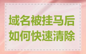 域名被挂马后如何快速清除