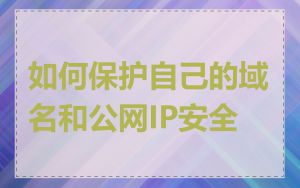 如何保护自己的域名和公网IP安全