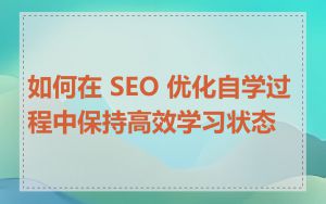 如何在 SEO 优化自学过程中保持高效学习状态