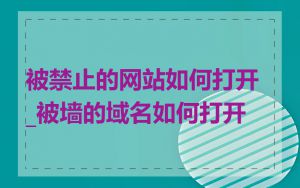 被禁止的网站如何打开_被墙的域名如何打开