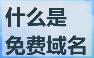 什么是免费域名
