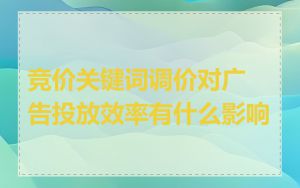 竞价关键词调价对广告投放效率有什么影响